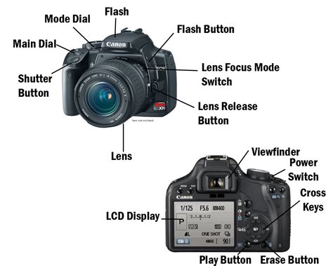 Update Technology News: Details about SLR Digital Camera