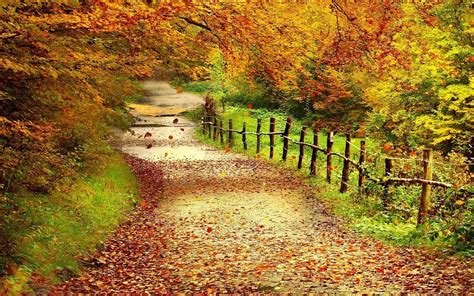Autumn Trees Wallpapers - Wallpaper Cave