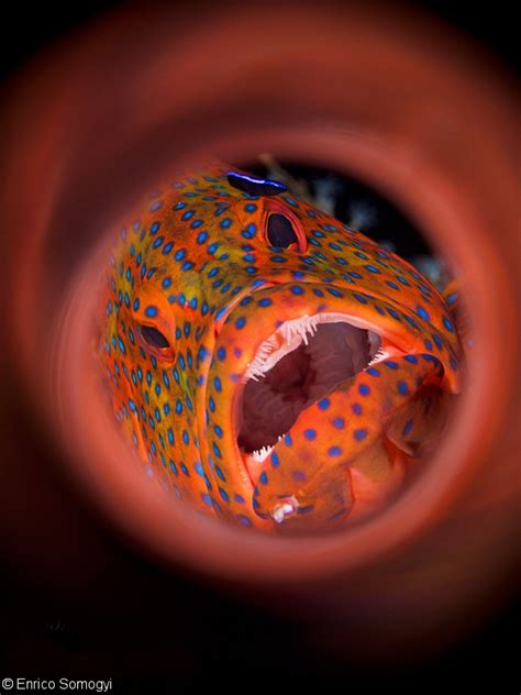 Creative Underwater Photography with Swirls and Bubbles