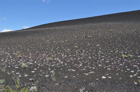 Photos: The surface of the moon, here on Earth - CNET