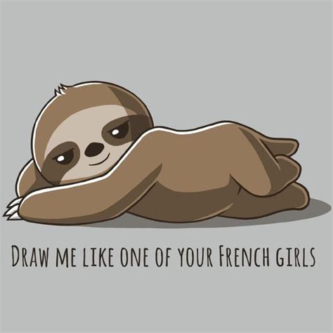 Pin by Jamie Sharpe on Cute animals | Cute animal quotes, Cute baby sloths, Cute animal drawings