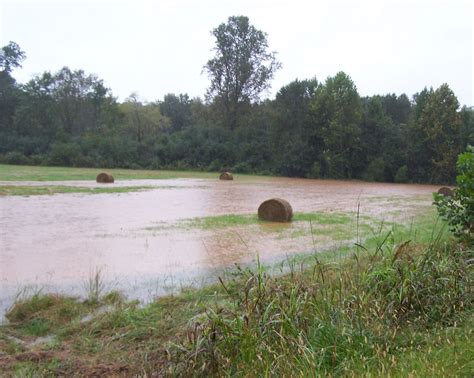 Flood Products -- What Do They Mean?