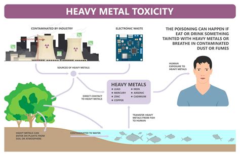 Common Heavy Metals in Water & How to Remove Them