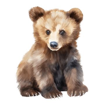 Brown Bear Cub Watercolor Clipart Ai Generated, Watercolor, Water Color ...