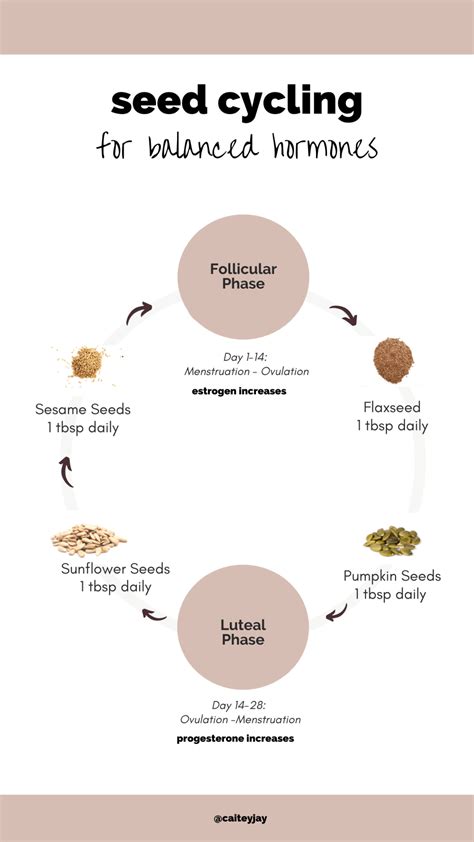 The Ultimate Guide To Seed Cycling For Hormone Balance - Caitey Jay