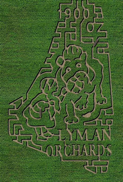 Corn Maze | Middlefield CT | Lyman Orchards