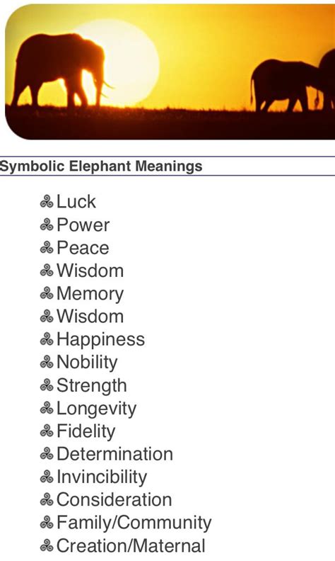 Elephant Tattoo Meaning and Designs