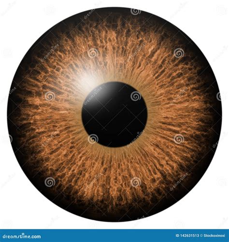 Brown Eye Iris Macro Illustration Stock Illustration - Illustration of ...