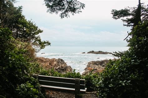 17 Incredible Tofino Hiking Trails: A Hiker's Guide to Tofino, Ucluelet ...