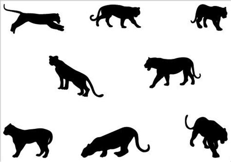 Tiger Silhouette Vector Graphics Pack | Tiger silhouette, Silhouette clip art, Animal silhouette