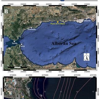 Records of R. okamurae in the Alboran Sea. A) Alboran Sea (Western ...