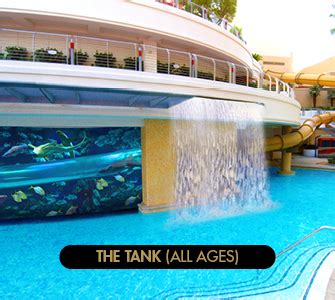 Tank Pool | Golden Nugget Las Vegas