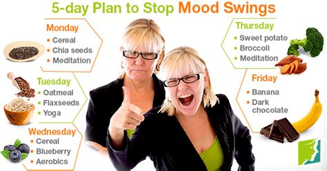 5-day Plan to Stop Mood Swings | Menopause Now