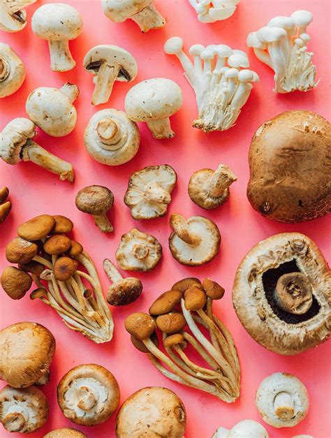 5 Common Types of Mushrooms (And How To Use Them) | Live Eat Learn