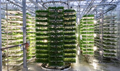 Digitization, and the future of urban agriculture. | by Mike Nasseri | Medium