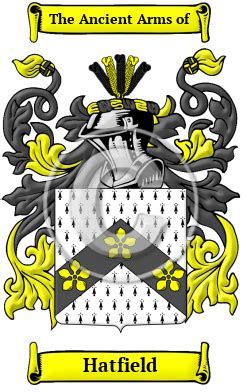 Hatfield Name Meaning, Family History, Family Crest & Coats of Arms