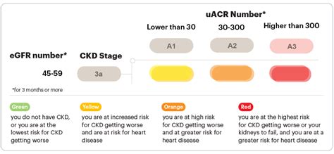 Stage 3a Chronic Kidney Disease (CKD) | National Kidney Foundation