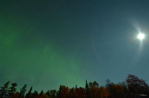 Seek Dark Skies for the Best Northern Lights - Northeastern Ontario ...