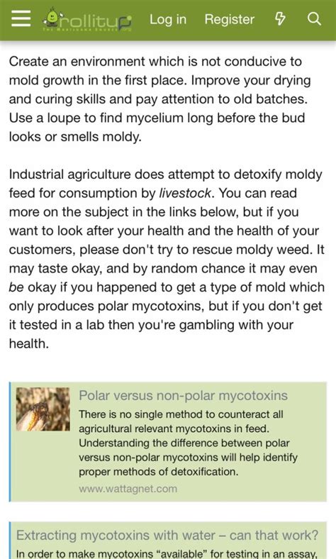 Moldy Weed 101: Can It Be Fixed & How Risky Is Smoking It? | HerbMedix