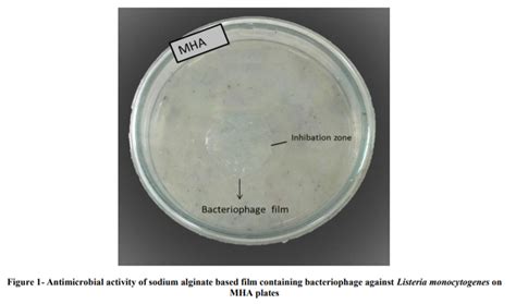 Prevalence of Listeria spp. in Seafood Samples and Control of Listeria ...