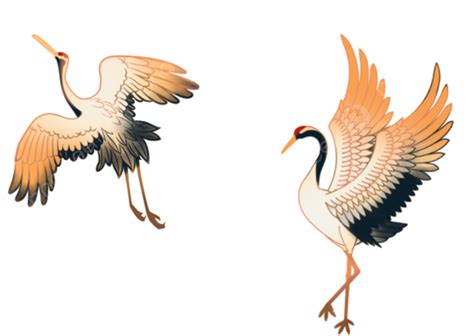 Bird Crane Animal, Birds, Crane, Bird PNG Transparent Image and Clipart for Free Download