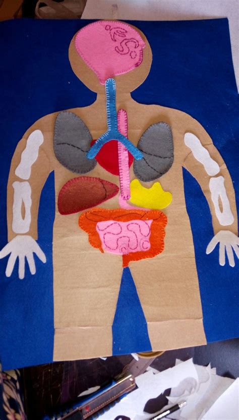 The human body💪 Human Body, Crafts For Kids, Science, Crafts For Children, Kids Arts And Crafts ...