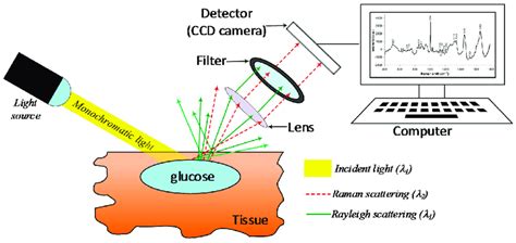 Schematic representation of a basic Raman spectroscopy instrument ...