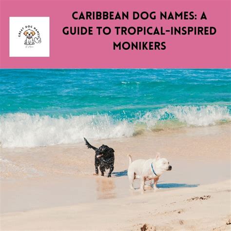 Caribbean Dog Names: A Guide to Tropical-Inspired Monikers - Great Dog ...
