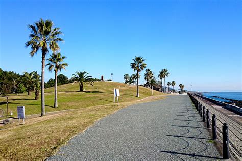 広野海岸公園 | エキサイト用宗