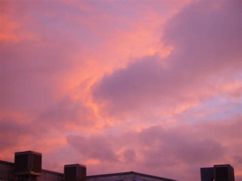 Free picture: pink, clouds, sunset