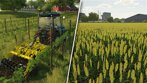 Farming Simulator 22 Best Crops for Each Season: What should I plant each month? - GameRevolution