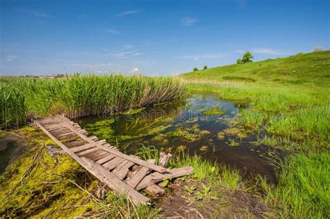 Small wooden bridge stock image. Image of yellow, pond - 28649695