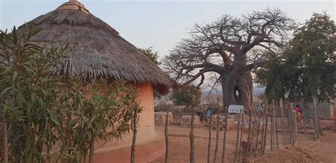 Limpopo safaris, tours and holiday packages | Discover Africa Safaris