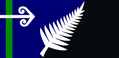 'Unique' Kiwi flag options | Stuff.co.nz