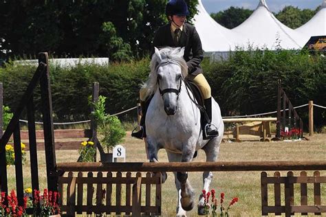 BBC - In pictures: Tendring Show 2010