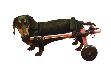 Dog Wheelchair For Small Dogs 8-25 lbs Pink - By Walkin' Wheels - Walmart.com