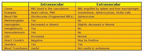 Intravascular Versus Extravascular Hemolysis | USMLE Forums