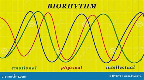 Biorhythm Stock Photo - Image: 4690990