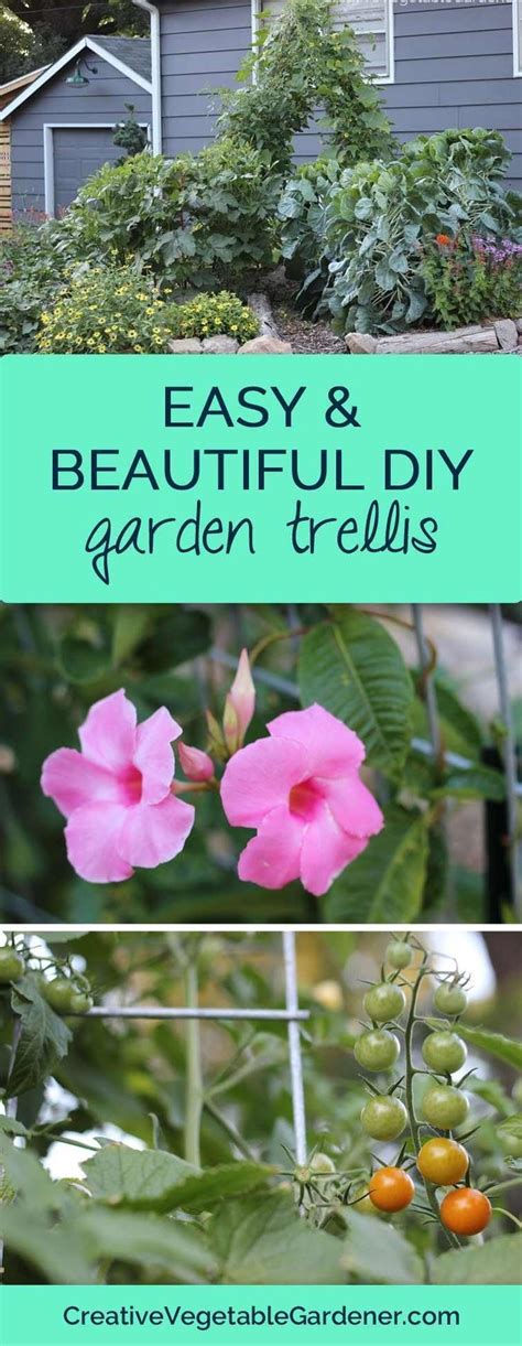 3 Design Ideas for a Cattle Panel Trellis | Garden trellis, Diy garden trellis, Garden ideas to make