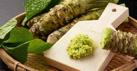 How to Plant and Grow Wasabi | Gardener’s Path