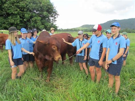 Tully State High School - Gateway to Industry Schools Program - Queensland Farmers' Federation