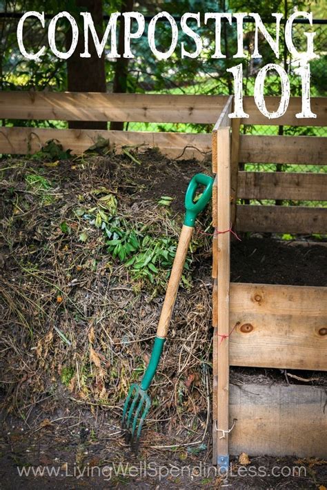 Composting 101 | Organic vegetable garden, Organic gardening tips, Compost