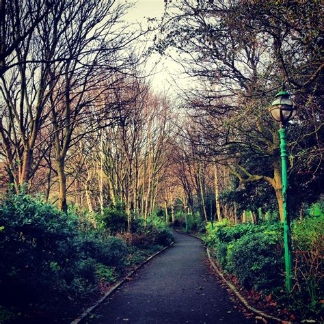 Merrion Square Park Dublin City | Dublin city, Country roads, Dublin