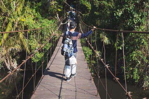 Jungle Trekking in Khao Yai National Park - The Lost Passport