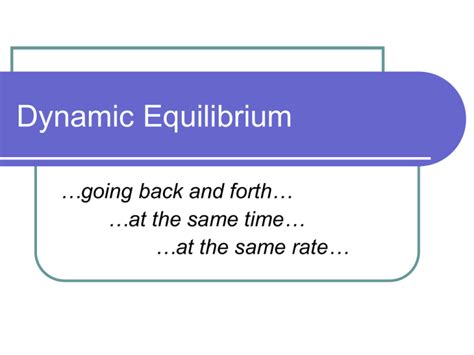 Dynamic Equilibrium