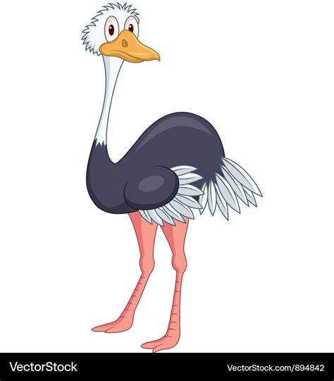 Ostrich cartoon Royalty Free Vector Image - VectorStock