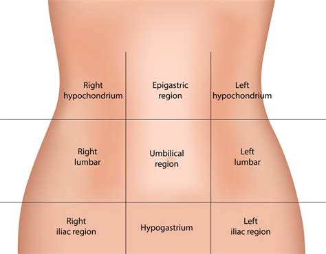 Upper Abdominal Pain: Find Out What is Causing It and What You Can Do