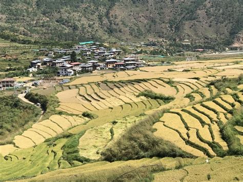 Phuentsholing, Bhutan | Tour packages, Landscape photography, Travel ...