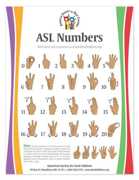 Asl Numbers 1 30 Printable - Printable Templates