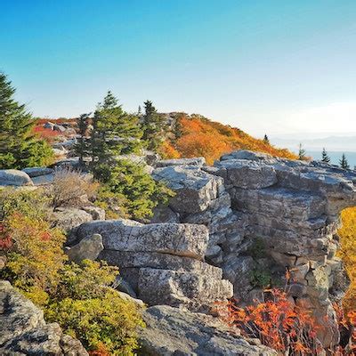 Photograph Bear Rocks Preserve, Bear Rocks Preserve